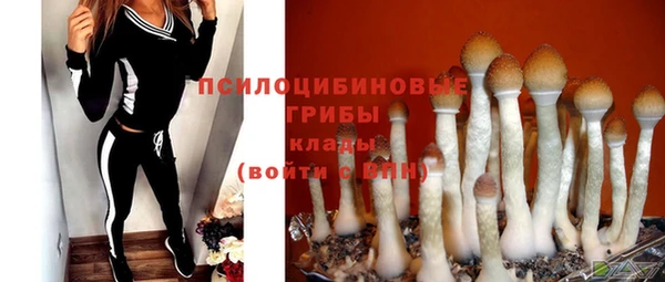 эйфоретик Верхний Тагил