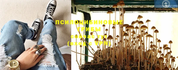 Альфа ПВП Фурманов